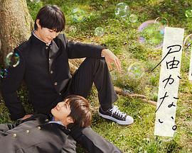 seo外部优化周到易.速达